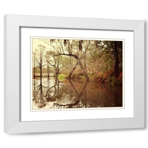 Deep South I White Modern Wood Framed Art Print with Double Matting by Suchocki, Irene