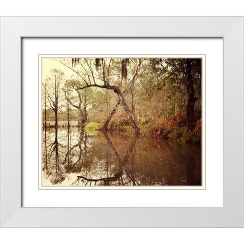 Deep South I White Modern Wood Framed Art Print with Double Matting by Suchocki, Irene
