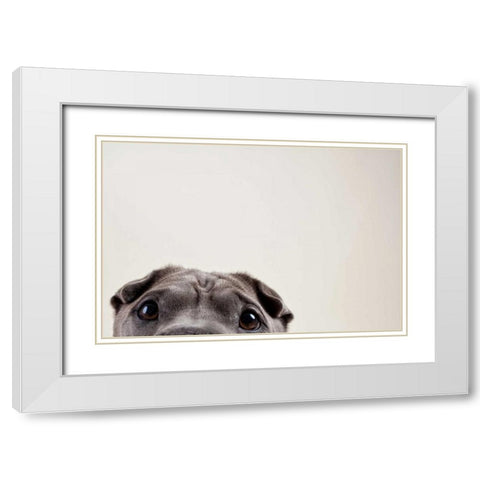 Peleis Eyes White Modern Wood Framed Art Print with Double Matting by Sabo, Susan