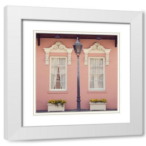 Southern Charm White Modern Wood Framed Art Print with Double Matting by Suchocki, Irene