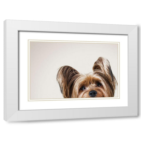 Jeri White Modern Wood Framed Art Print with Double Matting by Sabo, Susan