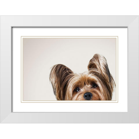 Jeri White Modern Wood Framed Art Print with Double Matting by Sabo, Susan