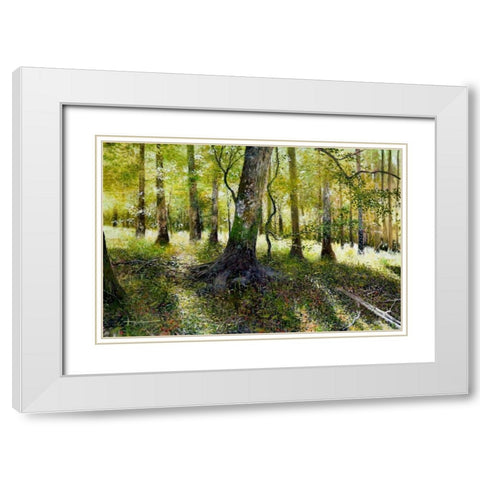 Little Econ River White Modern Wood Framed Art Print with Double Matting by Sullivan, Kent