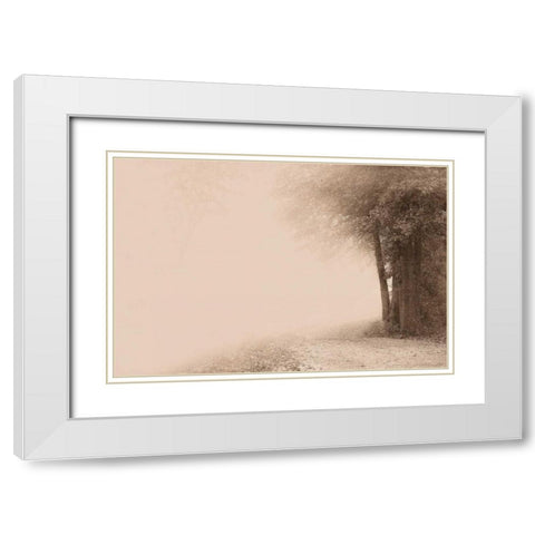 Gate to Infinity White Modern Wood Framed Art Print with Double Matting by Svibilsky, Igor