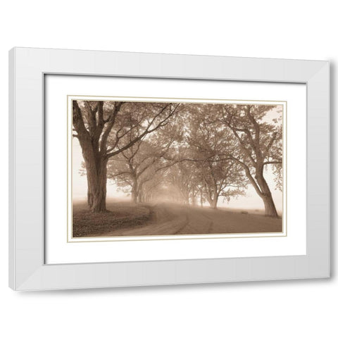 Guardians of the Road White Modern Wood Framed Art Print with Double Matting by Svibilsky, Igor