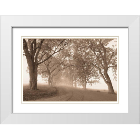 Guardians of the Road White Modern Wood Framed Art Print with Double Matting by Svibilsky, Igor