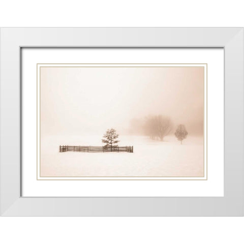 Isolated White Modern Wood Framed Art Print with Double Matting by Svibilsky, Igor