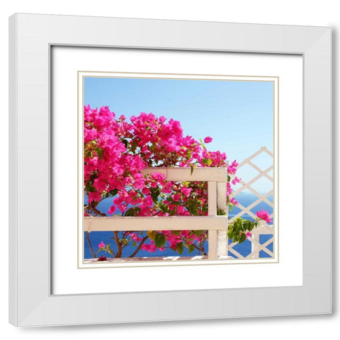 Santorini Blooms White Modern Wood Framed Art Print with Double Matting by Coomes, Sylvia