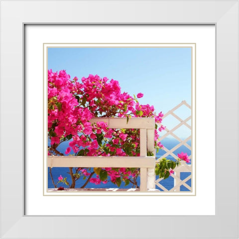 Santorini Blooms White Modern Wood Framed Art Print with Double Matting by Coomes, Sylvia