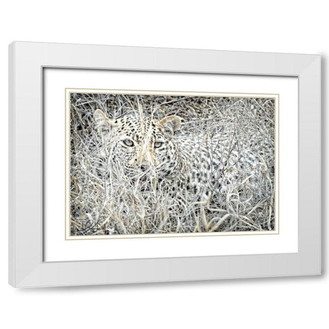 Leopard White Modern Wood Framed Art Print with Double Matting by Sobol, Helene