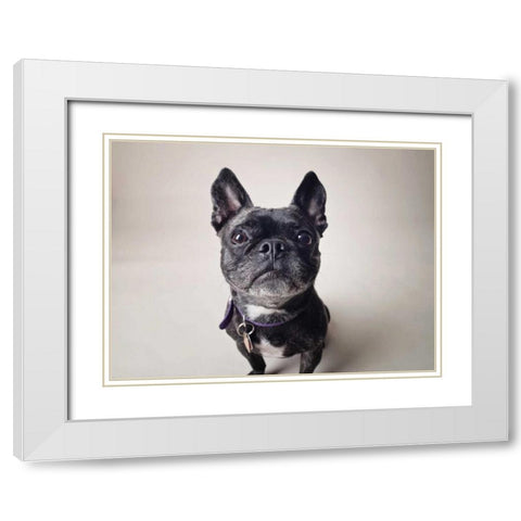 Bailey White Modern Wood Framed Art Print with Double Matting by Sabo, Susan