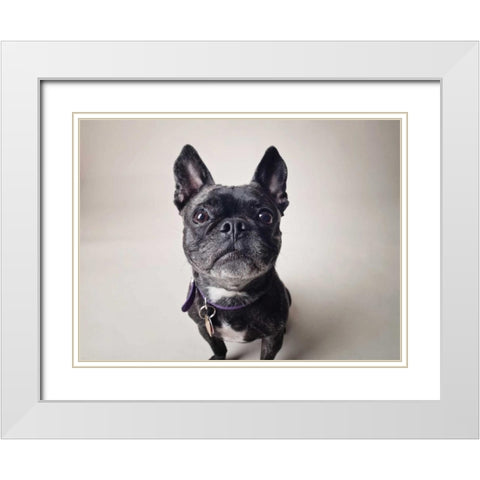 Bailey White Modern Wood Framed Art Print with Double Matting by Sabo, Susan