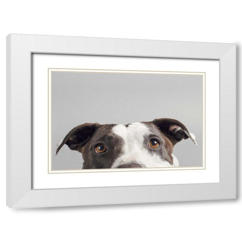 Ruby White Modern Wood Framed Art Print with Double Matting by Sabo, Susan