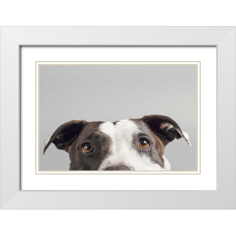 Ruby White Modern Wood Framed Art Print with Double Matting by Sabo, Susan