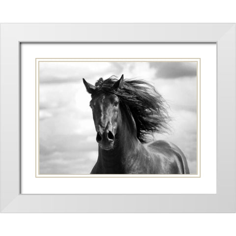 Breath of Life White Modern Wood Framed Art Print with Double Matting by Stromberg, Tony