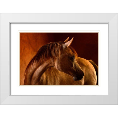 Clay White Modern Wood Framed Art Print with Double Matting by Stromberg, Tony