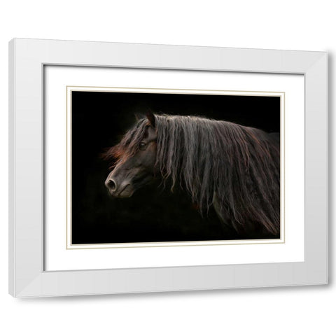 Ebony White Modern Wood Framed Art Print with Double Matting by Stromberg, Tony
