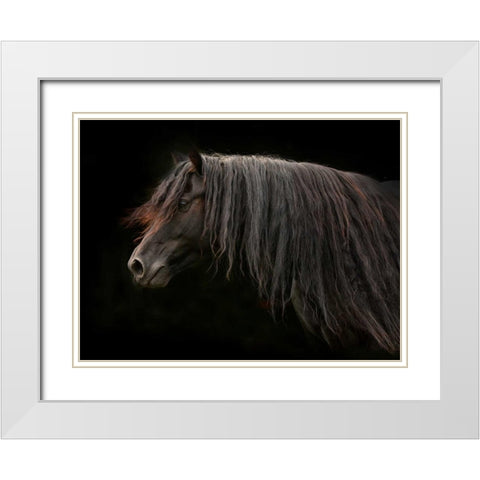 Ebony White Modern Wood Framed Art Print with Double Matting by Stromberg, Tony