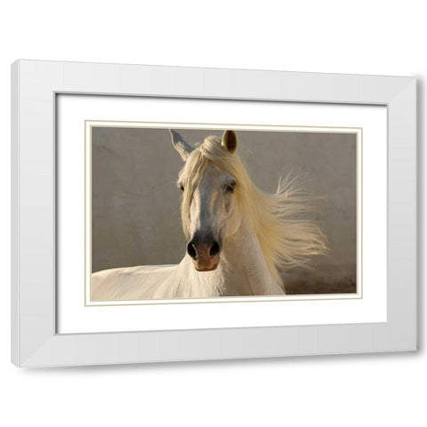 Elegance White Modern Wood Framed Art Print with Double Matting by Stromberg, Tony