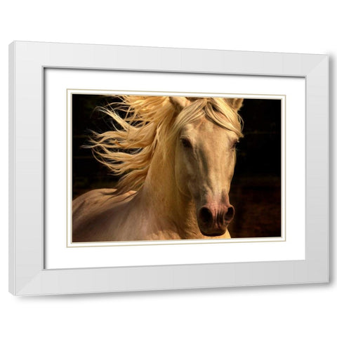 Kieto II White Modern Wood Framed Art Print with Double Matting by Stromberg, Tony