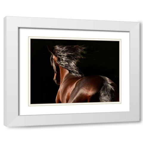 Reflection White Modern Wood Framed Art Print with Double Matting by Stromberg, Tony