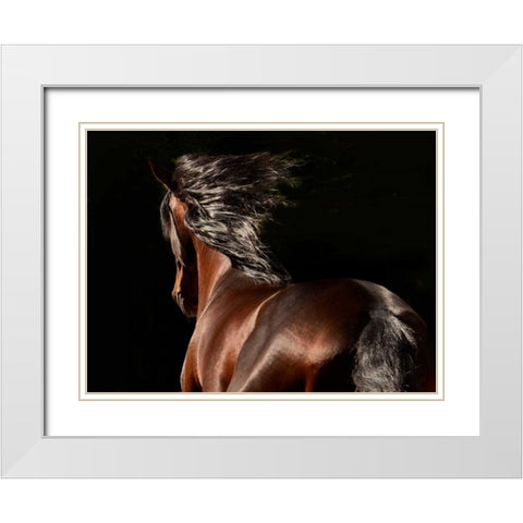 Reflection White Modern Wood Framed Art Print with Double Matting by Stromberg, Tony