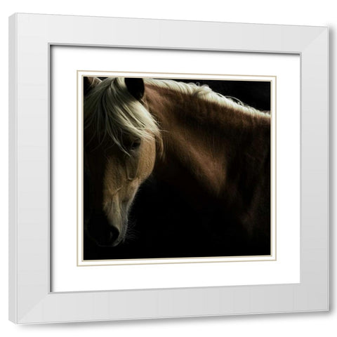 Spirit Horse White Modern Wood Framed Art Print with Double Matting by Stromberg, Tony