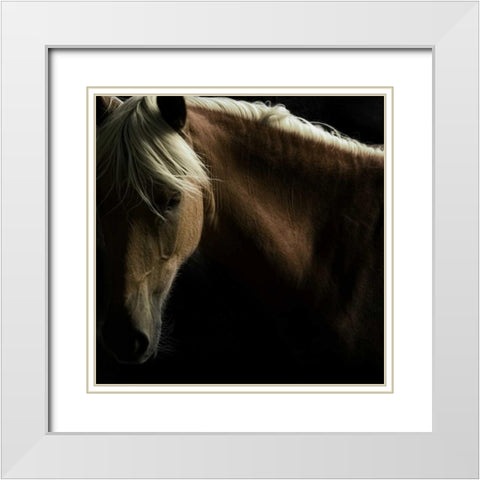 Spirit Horse White Modern Wood Framed Art Print with Double Matting by Stromberg, Tony