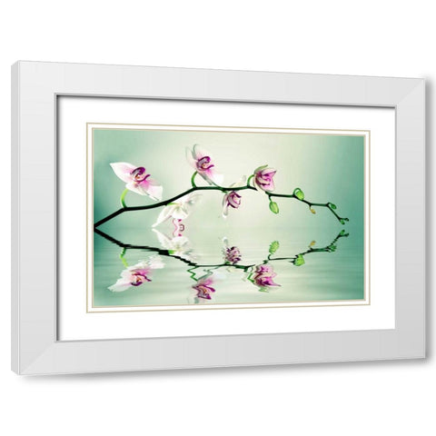 Zen White Modern Wood Framed Art Print with Double Matting by Sie, Lee