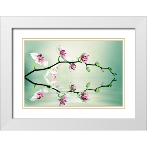 Zen White Modern Wood Framed Art Print with Double Matting by Sie, Lee