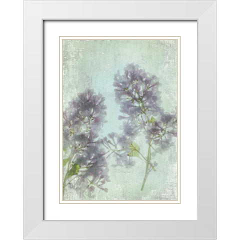 Lilac White Modern Wood Framed Art Print with Double Matting by Stalus, Judy