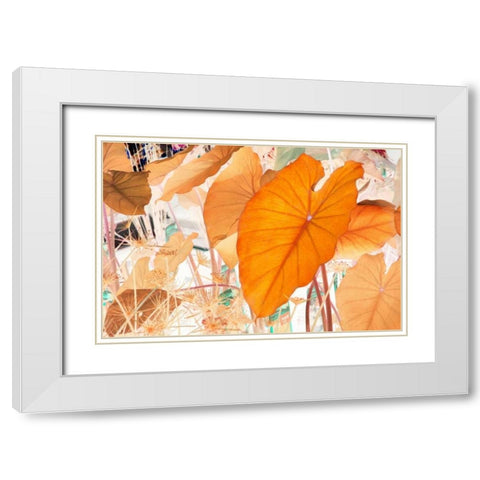 Elephant Ears White Modern Wood Framed Art Print with Double Matting by Stalus, Judy