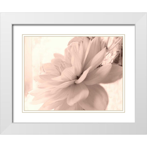 Pink Dahlia 1 White Modern Wood Framed Art Print with Double Matting by Stalus, Judy