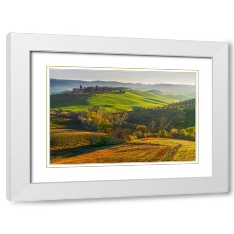 Light Invasion White Modern Wood Framed Art Print with Double Matting by Schneidersmann, Anne