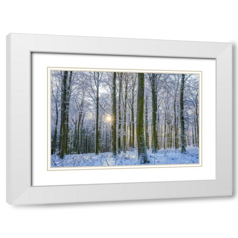 Frosty Forest White Modern Wood Framed Art Print with Double Matting by Schneidersmann, Anne