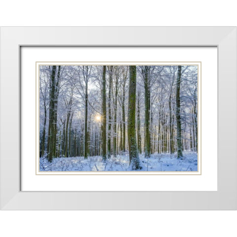 Frosty Forest White Modern Wood Framed Art Print with Double Matting by Schneidersmann, Anne