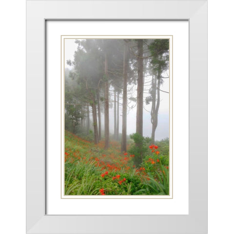 Forest of The Flowers White Modern Wood Framed Art Print with Double Matting by Schneidersmann, Anne