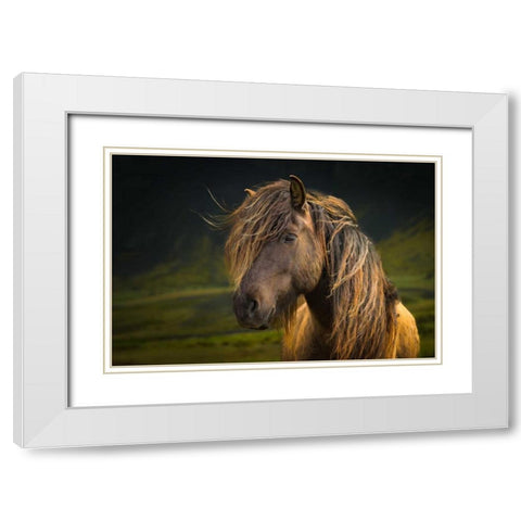 Born To Be Wild White Modern Wood Framed Art Print with Double Matting by Schneidersmann, Anne
