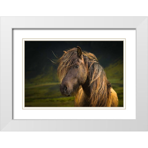 Born To Be Wild White Modern Wood Framed Art Print with Double Matting by Schneidersmann, Anne
