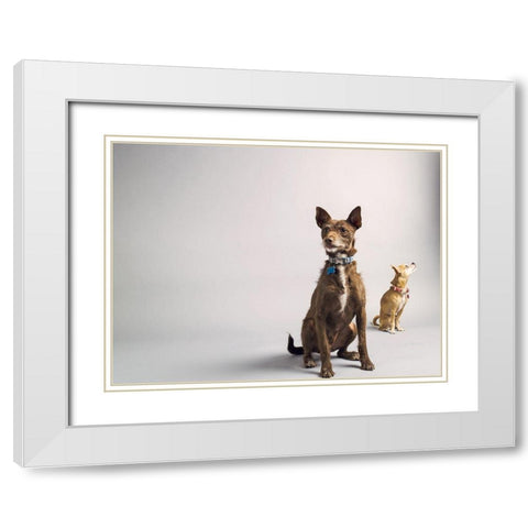 Nope White Modern Wood Framed Art Print with Double Matting by Sabo, Susan