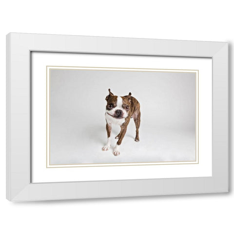 Kevin White Modern Wood Framed Art Print with Double Matting by Sabo, Susan