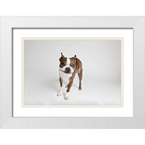 Kevin White Modern Wood Framed Art Print with Double Matting by Sabo, Susan