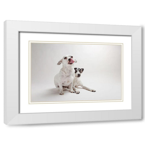 Mouse and Jack White Modern Wood Framed Art Print with Double Matting by Sabo, Susan