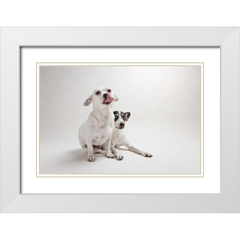 Mouse and Jack White Modern Wood Framed Art Print with Double Matting by Sabo, Susan