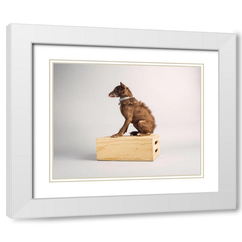 Side Eye White Modern Wood Framed Art Print with Double Matting by Sabo, Susan