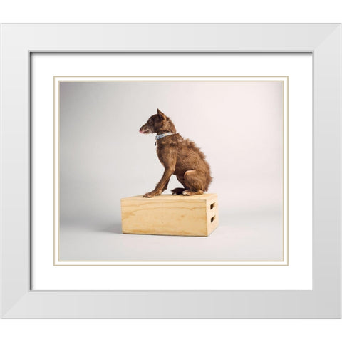 Side Eye White Modern Wood Framed Art Print with Double Matting by Sabo, Susan