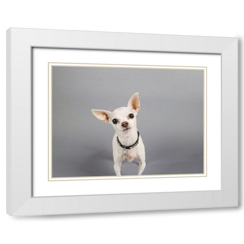 Psssstâ€¦ White Modern Wood Framed Art Print with Double Matting by Sabo, Susan
