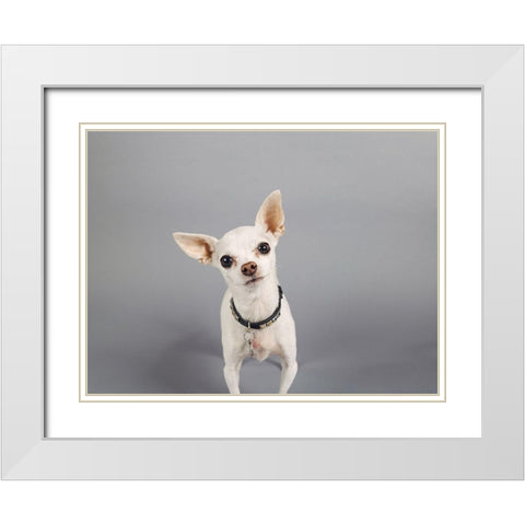 Psssstâ€¦ White Modern Wood Framed Art Print with Double Matting by Sabo, Susan