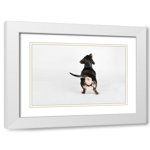The Butt White Modern Wood Framed Art Print with Double Matting by Sabo, Susan