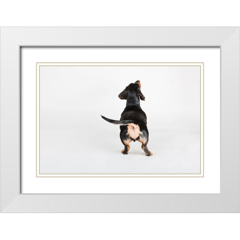 The Butt White Modern Wood Framed Art Print with Double Matting by Sabo, Susan